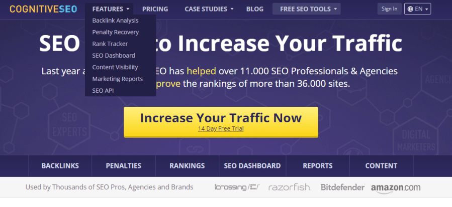 cognitiveSEO